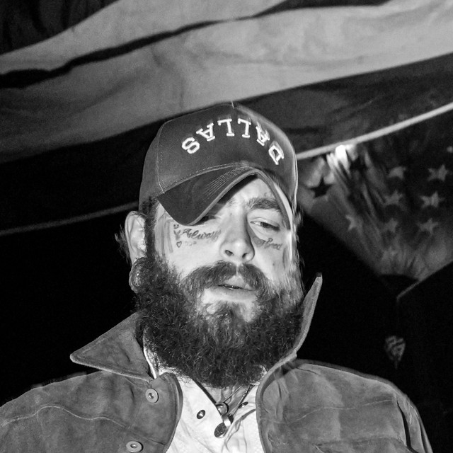 Post Malone official artist profile image