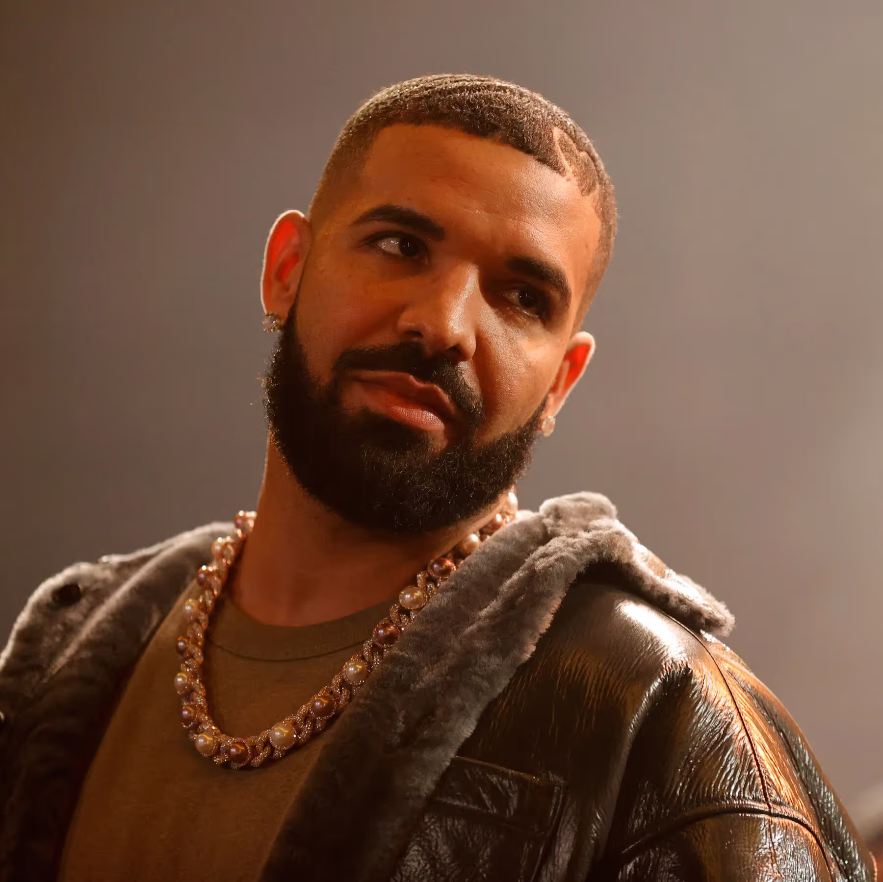 Drake on a soft-brown background