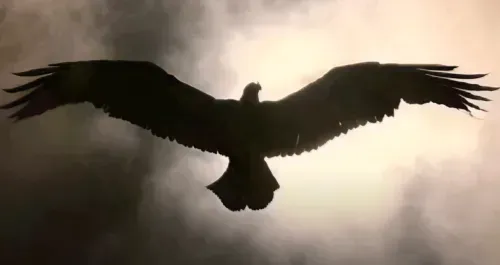 Vultures Ty Dolla Sign, Kanye West (Ye) music video shot