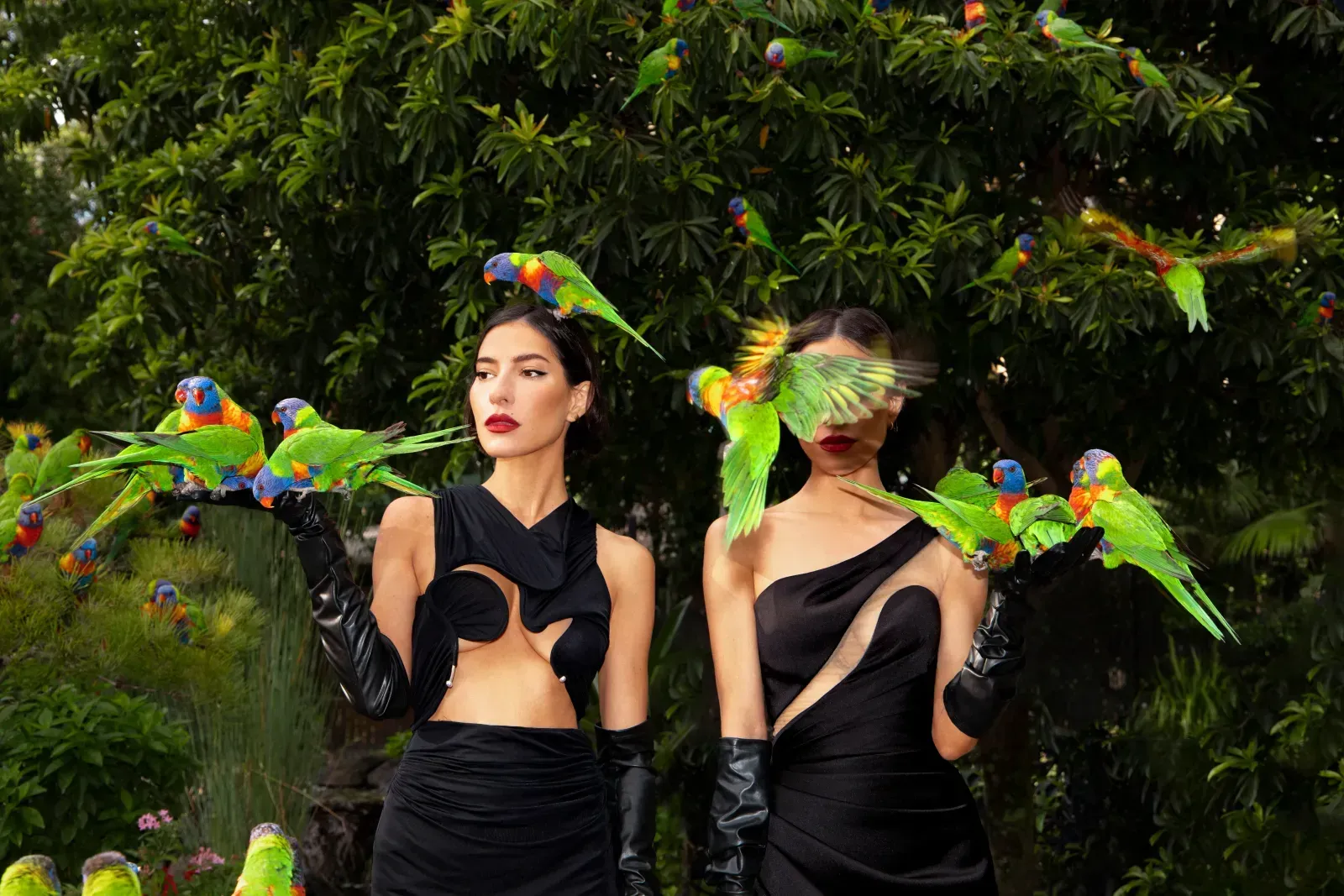 The Veronicas wearing black dresses holding green parrots for Gothic Summer album release