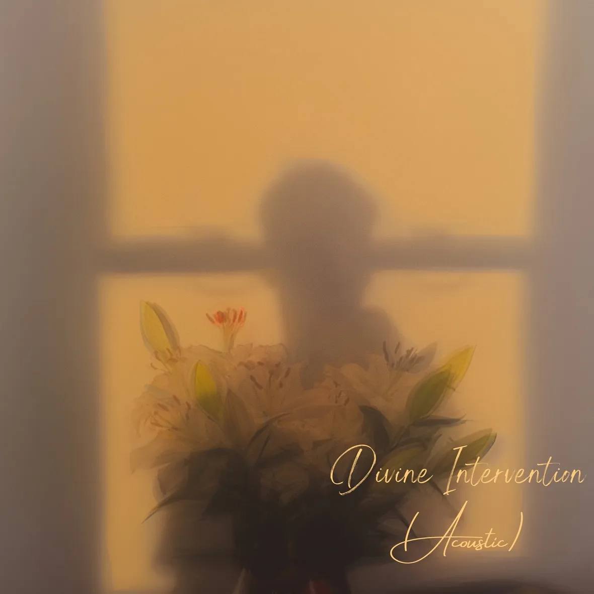 IkeN, DI Acoustic, cover art