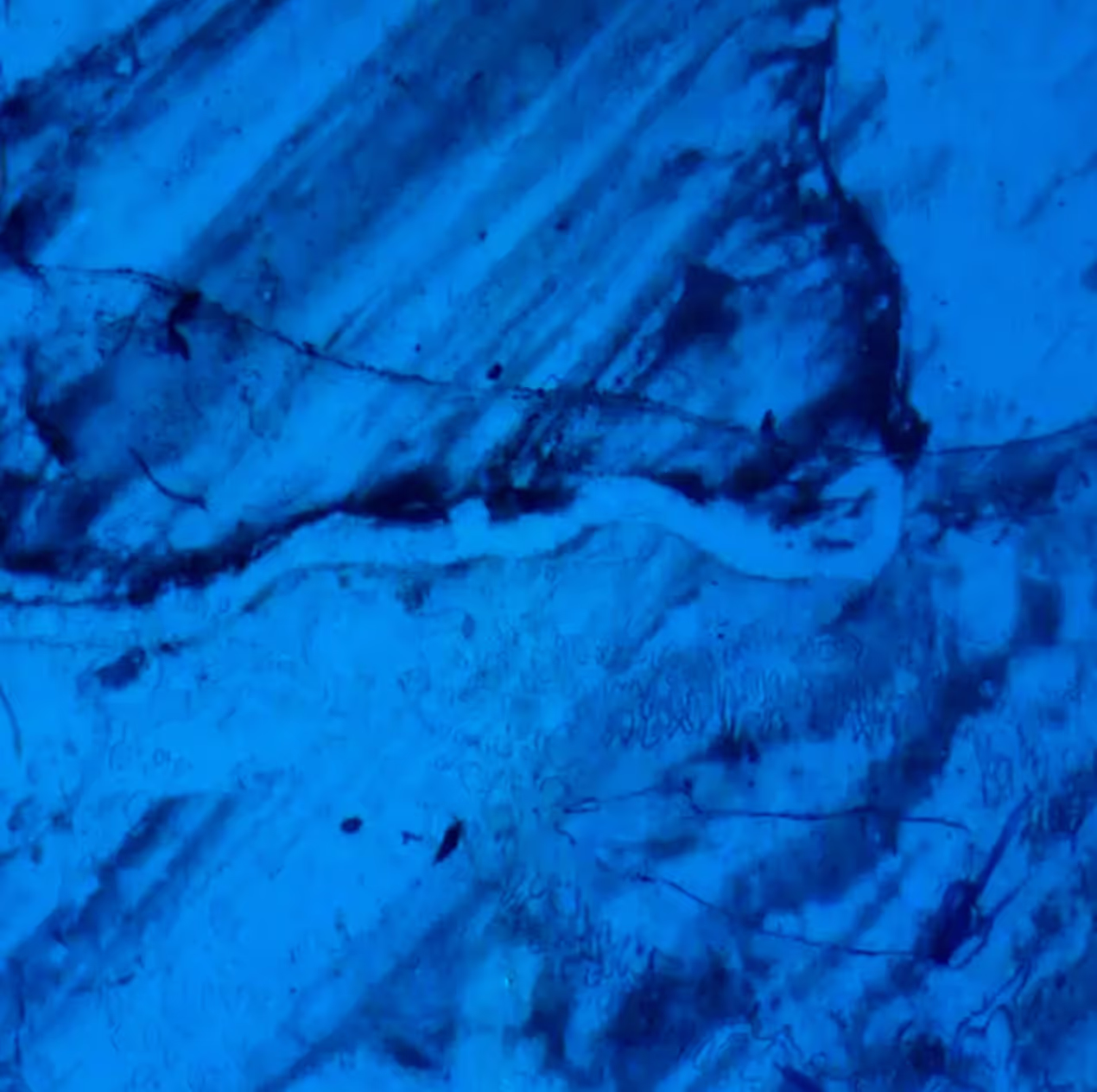 சான் கரோல்,'நீர்வீழ்ச்சி'கவர் கலை