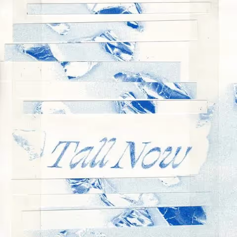 Bobbi Lu, TALL NOW, cover art