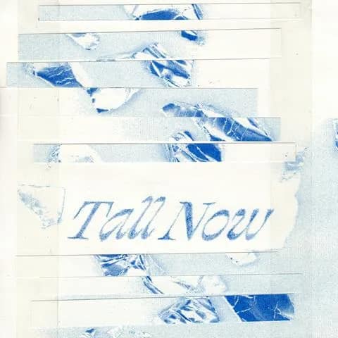 Bobbi Lu, TALL NOW, cover art