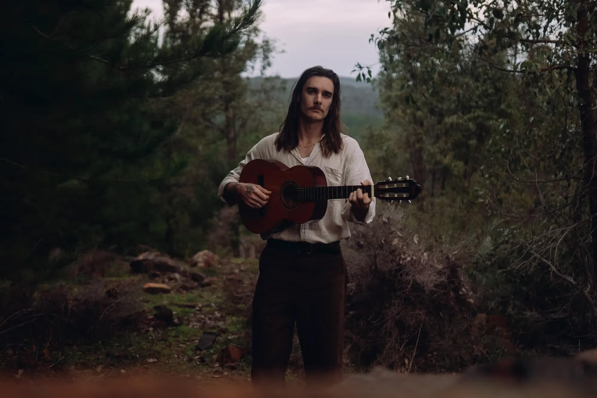 Whiskey Jack, Photo Credit: Emma Smart