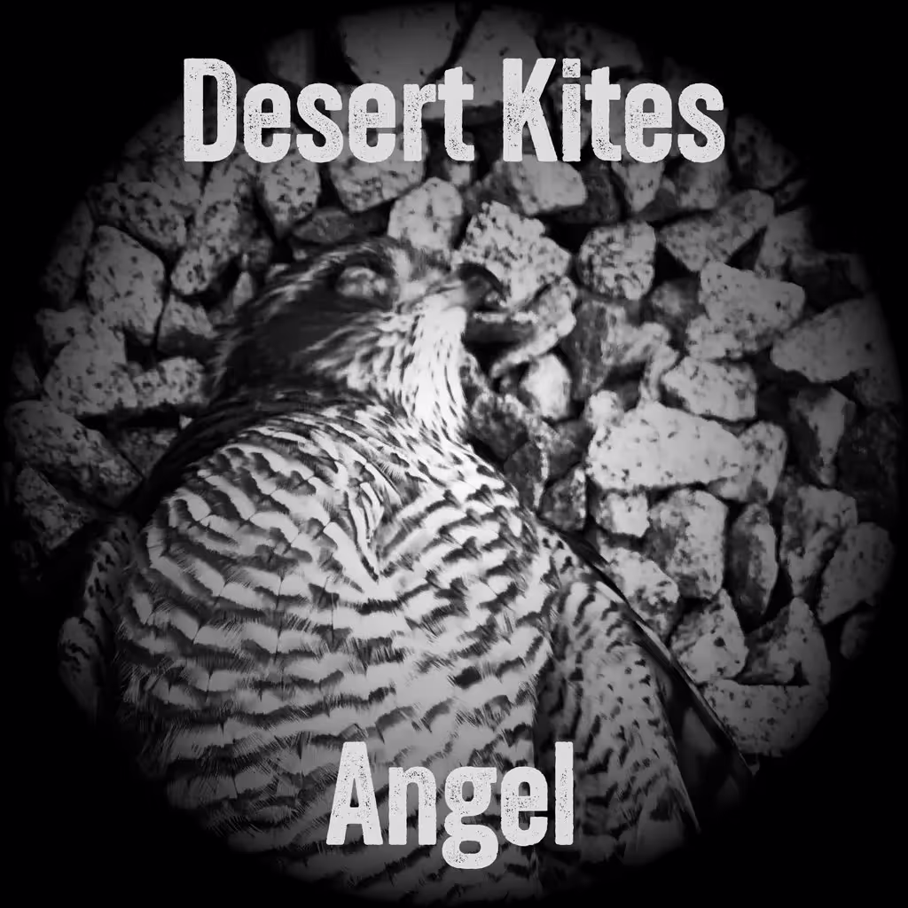 Desert Kite 'Angel', cover art