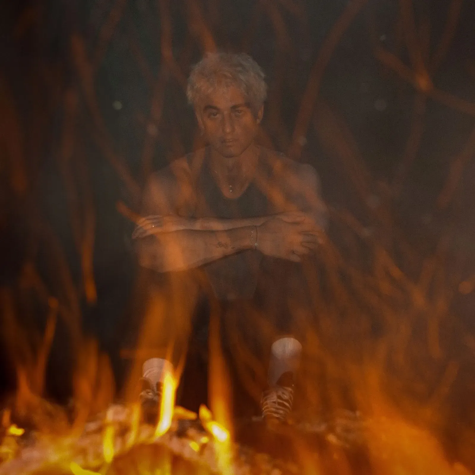 ಎಲಿಜಾ ವುಡ್ಸ್,'what it means', ಕವರ್ ಆರ್ಟ್