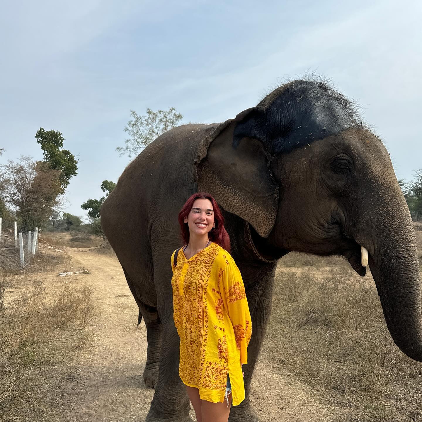 Dua Lipa photographs with elephant while visiting safari on her Indian vacation