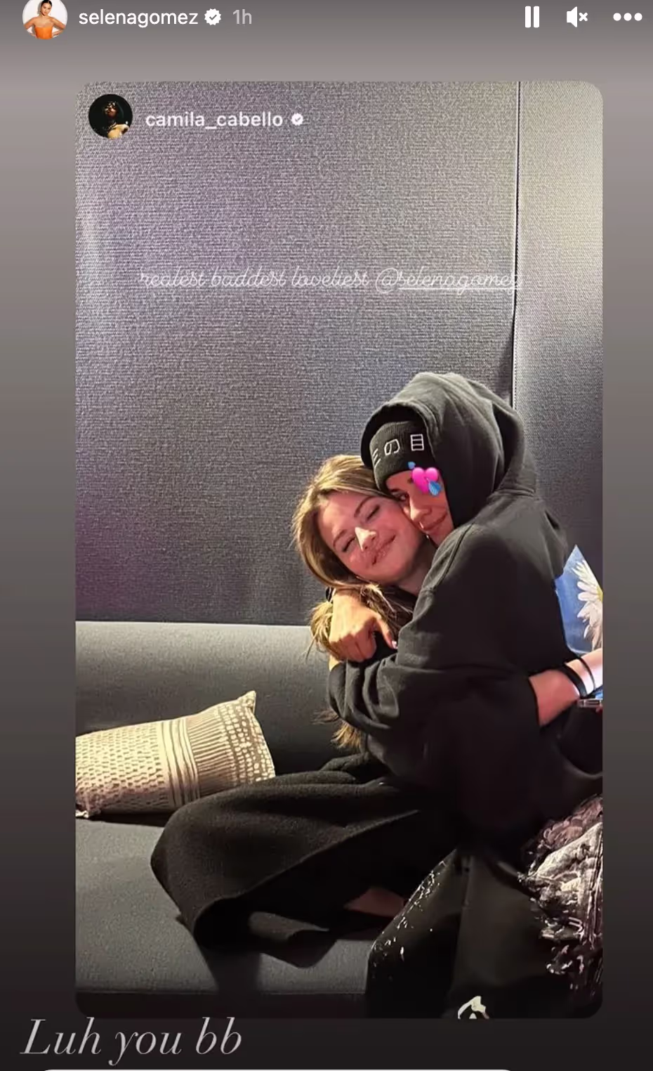Selena Gomez reposts Camila Cabello's photo of both, signing 'luh you bb'