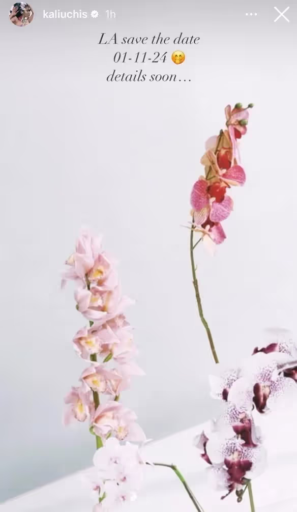 Kali Uchis IG story that reads: "LA save the date 01-11-24 details soon.."