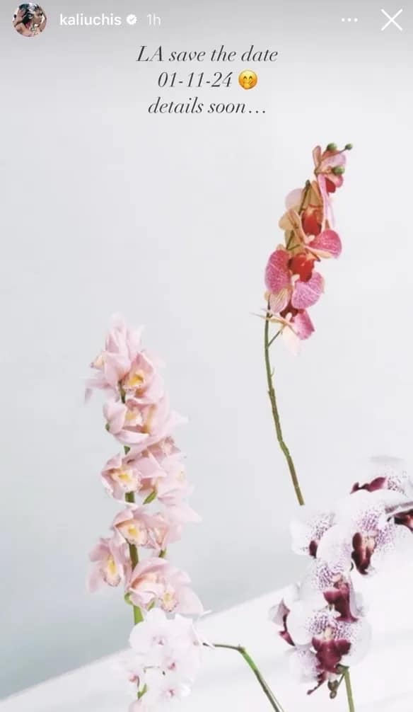 Kali Uchis IG story that reads: "LA save the date 01-11-24 details soon.."