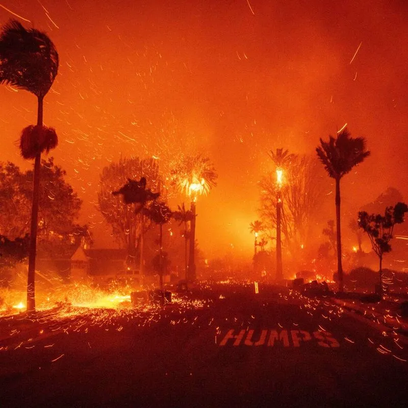 Pacific Palisades Wildfire: Bright orange sky with burning palm trees and Los Angeles air filled with embers.