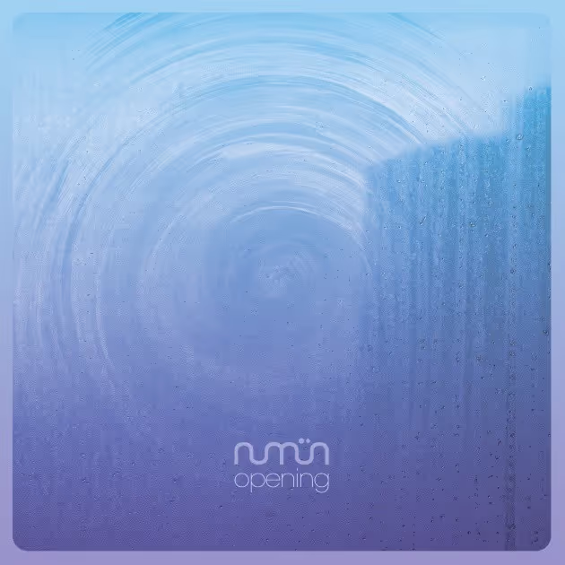 numün, 'opening' lp cover art