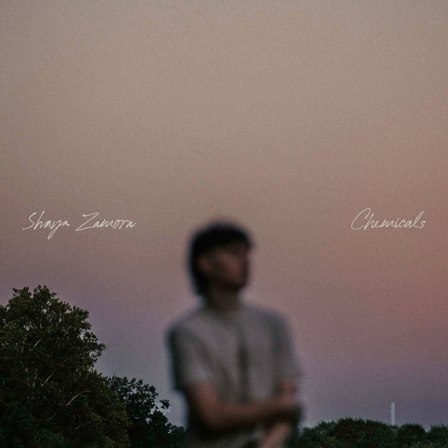 Shaya Zamora, "Chemicals", single cover art