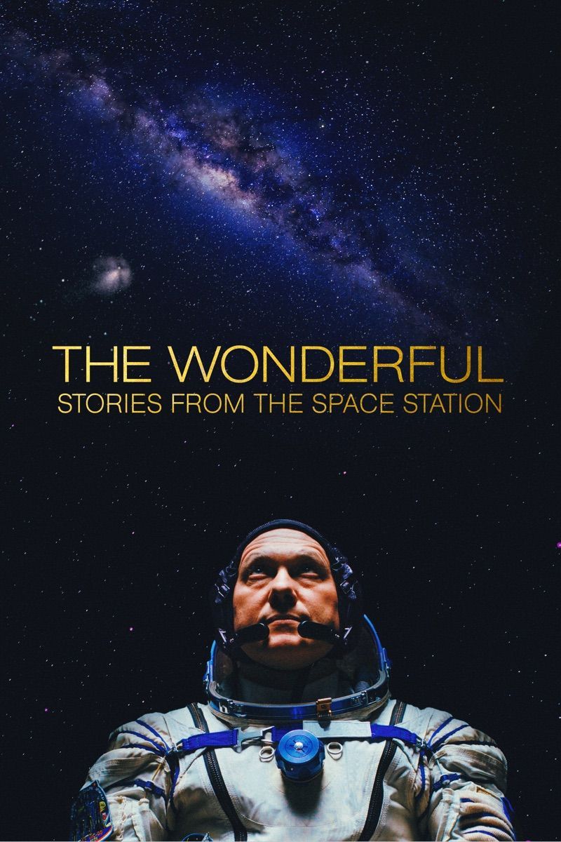 Travis Scott "Wonderful" cover art