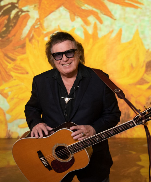 Don Mclean "American Pie" cover art