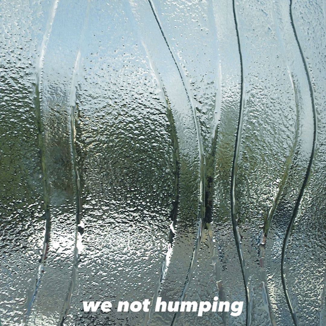 Monaleo "We Not Humping" cover art