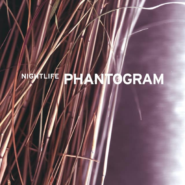 Phantogram "Don't Move" borítókép