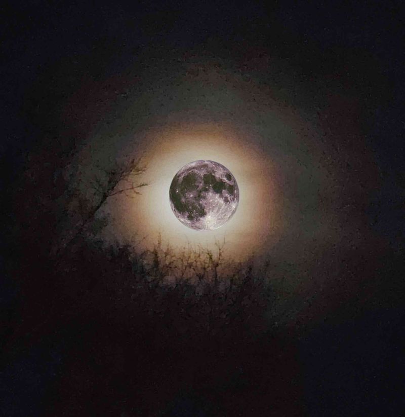 Chris Williams, Kid Reverie, "Strawberry Moon", single cover art