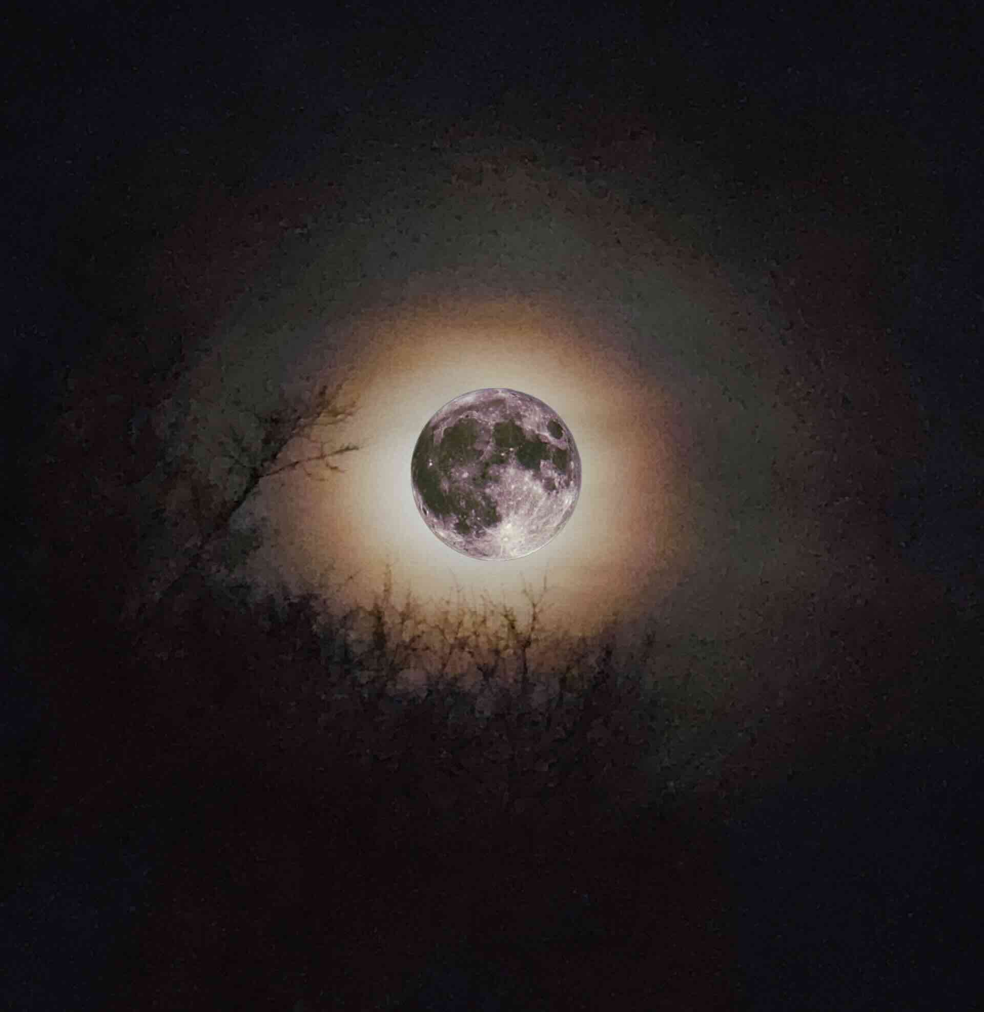 Chris Williams, Kid Reverie, "Strawberry Moon", single cover art