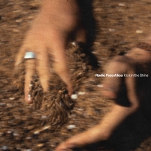 Radio Free Alice – Kick in the Shins